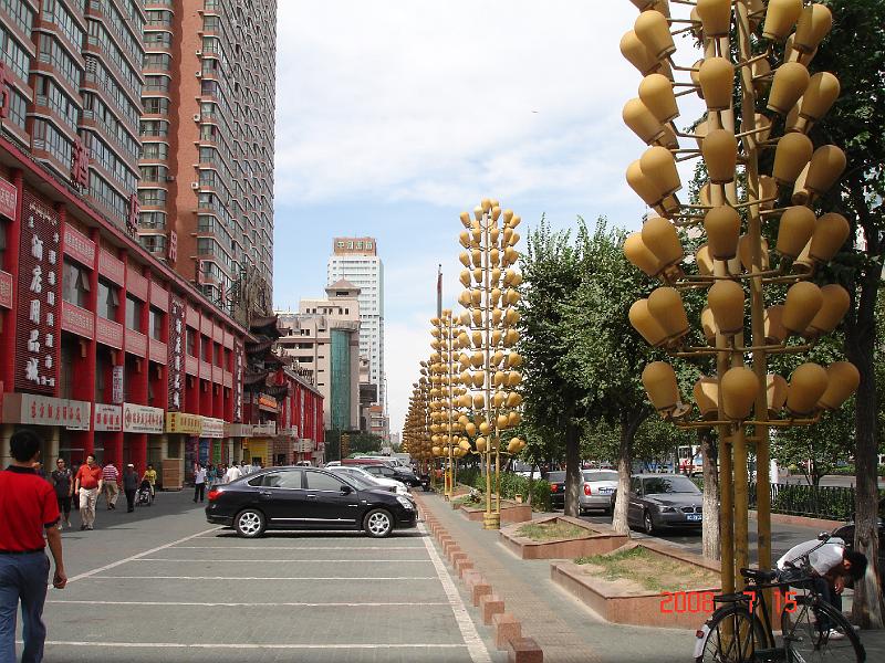 2008 (99).JPG - July 13-22, 2008  中國農科院飼料所參訪後新疆行(中國大陸，新疆) [Visit Feed Research Institute, The Chinese Academy of Agricultural Sciences, Xinjiang, China]-19